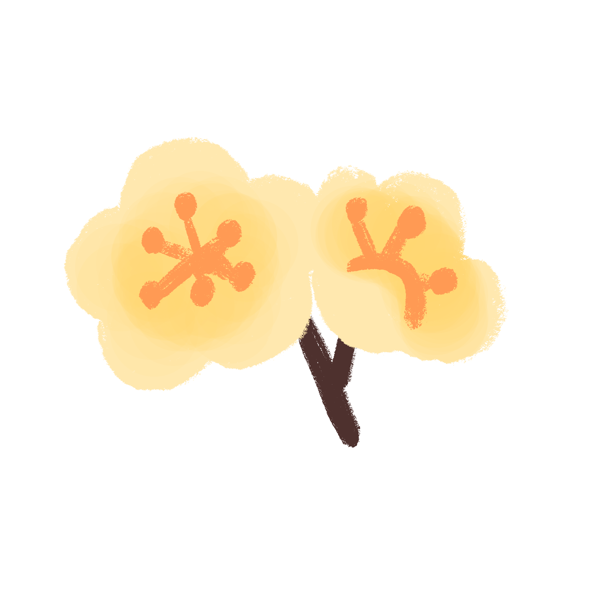 Hoa mai blossom pair sticker